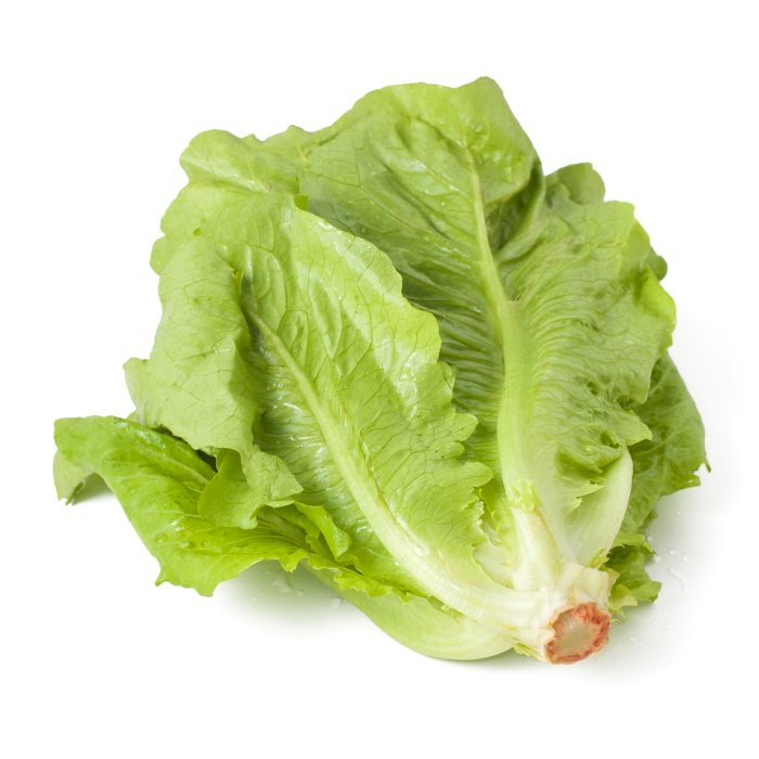Salade romaine /Pièce